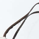 FENDI Zucca Canvas Shoulder Bag Black Brown Auth 152077-8