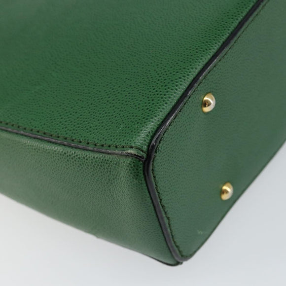 CELINE Shoulder Bag Leather Green Gold Auth 152110