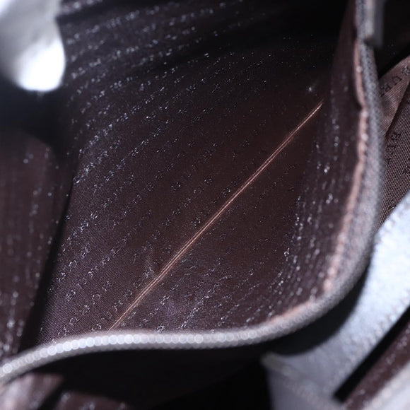 BURBERRY Nova Check Hand Bag PVC Brown Silver Auth 152155