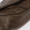 CHANEL Chain Shoulder Bag Caviar Skin Brown Silver CC Auth 152234-10