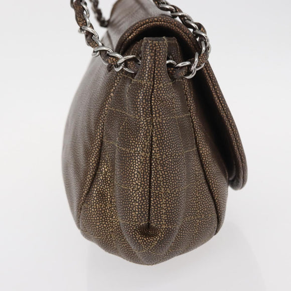 CHANEL Chain Shoulder Bag Caviar Skin Brown Silver CC Auth 152234