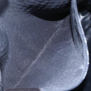 BALLY Chain Shoulder Bag Leather Black Gold Auth 152403-23