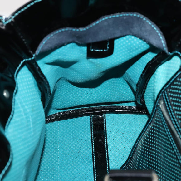 FENDI Etnico Tote Bag Enamel Black Silver Auth 152587