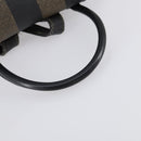 FENDI Pecan Canvas Backpack PVC Brown Black gold Auth 152942-7