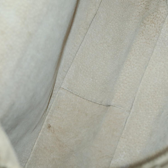 FENDI Zucca Canvas Shoulder Bag Nylon Beige Auth 153118