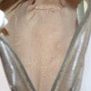 GUCCI GG Canvas Supreme Shoulder Bag 4 Set Beige Auth 153246-30