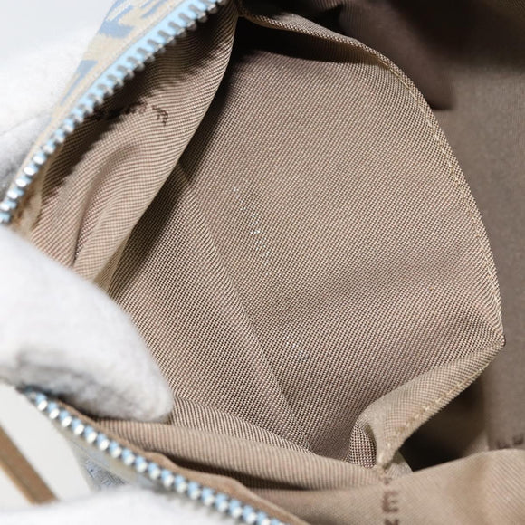 FENDI Zucchino Canvas Shoulder Bag Light Blue Silver Auth 153315