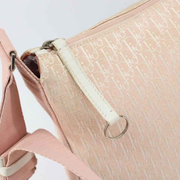 Christian Dior Trotter Canvas Shoulder Bag Pink Silver Auth 153498