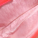 Christian Dior Saddle Shoulder Bag Canvas Pink Silver Auth 153630SAV-22