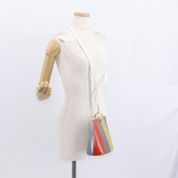 Salvatore Ferragamo Shoulder Bag Leather Multicolor Gold Auth 154202