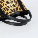 BALENCIAGA Cabas S Hand Bag Canvas Brown Silver 339933 Auth 154505-7