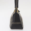 CELINE Accessory Pouch Canvas Brown Auth 154612V-4