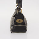 CELINE Accessory Pouch Canvas Brown Auth 154612V-5