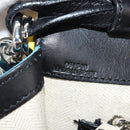 LOEWE V Anagram Chain Shoulder Bag Suede Leather 2way Blue Silver Auth 154755A-12