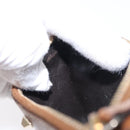 GUCCI GG Canvas Coin Purse Beige Gold 120971 Auth 154904-19