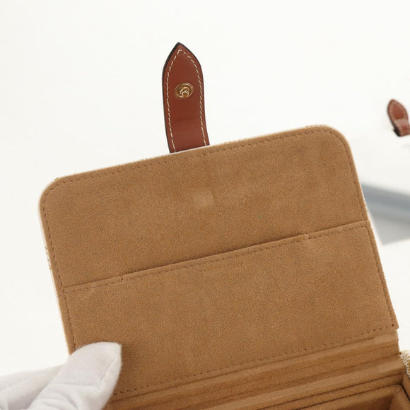 CELINE Triomphe Canvas Large Jewelry Case PVC White 4M0382DIU Auth 154934SM