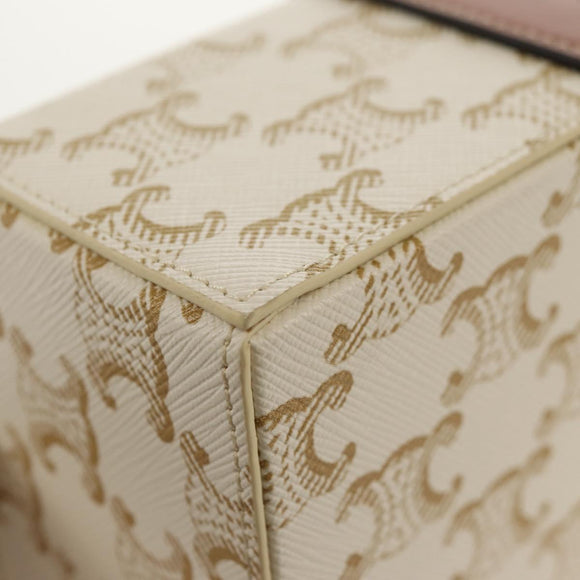 CELINE Triomphe Canvas Large Jewelry Case PVC White 4M0382DIU Auth 154934SM