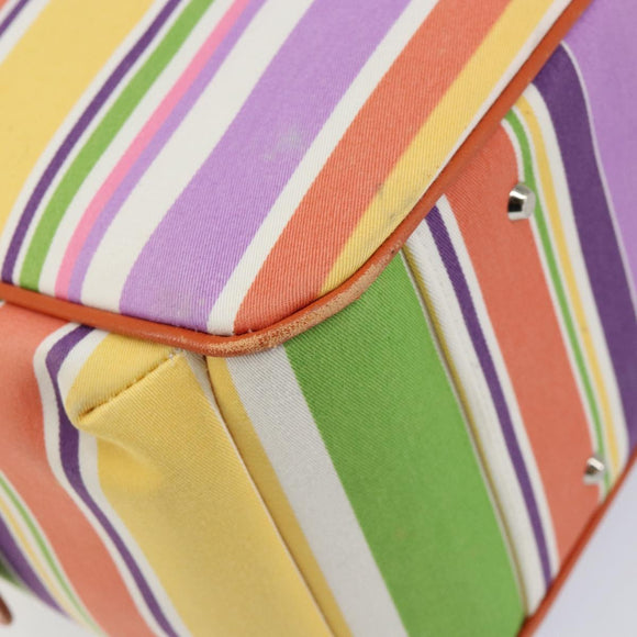 BURBERRY Blue Label Hand Bag Canvas Multicolor Silver Auth 155294