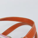 BURBERRY Blue Label Hand Bag Canvas Multicolor Silver Auth 155294-8