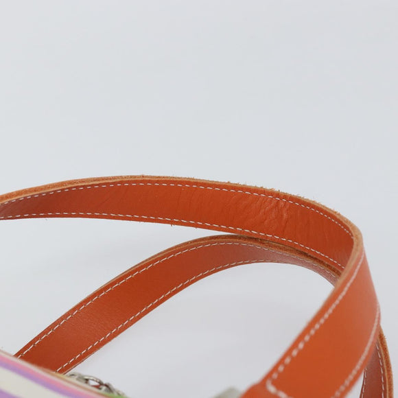 BURBERRY Blue Label Hand Bag Canvas Multicolor Silver Auth 155294