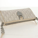 Christian Dior Trotter Romantic Shoulder Bag PVC White Silver Auth 155320V-14