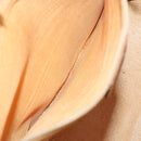 GUCCI Bamboo Hand Bag Leather 2way Brown Gold Auth 155634-22