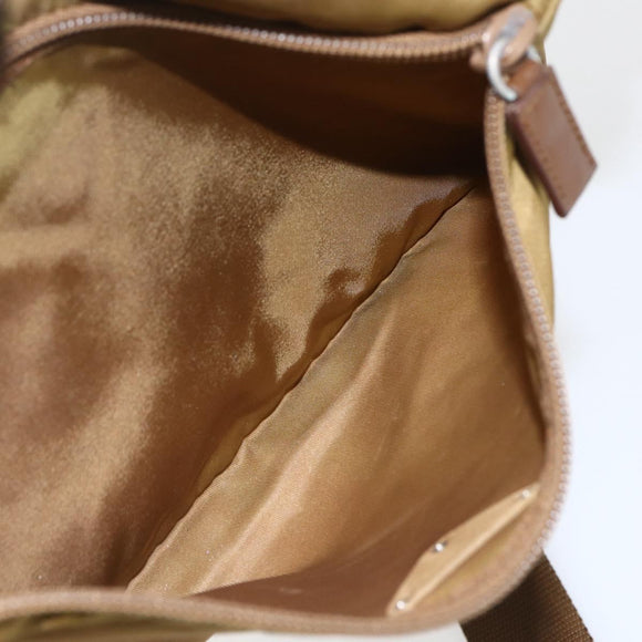 PRADA Shoulder Bag Nylon Brown Silver Auth 155945