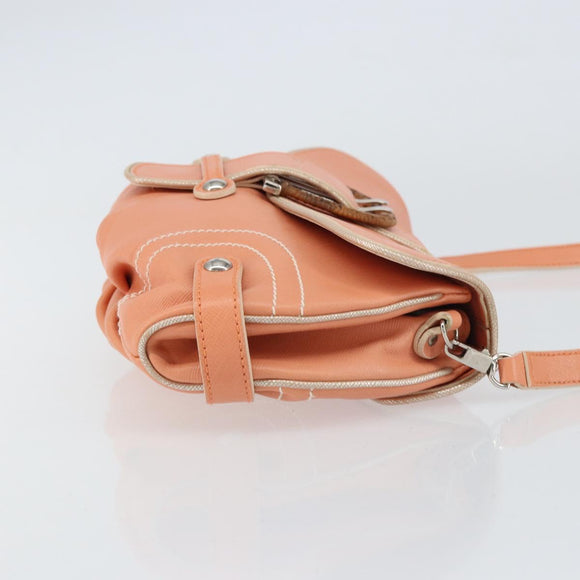 Salvatore Ferragamo Shoulder Bag Leather Pink Silver Auth 156320