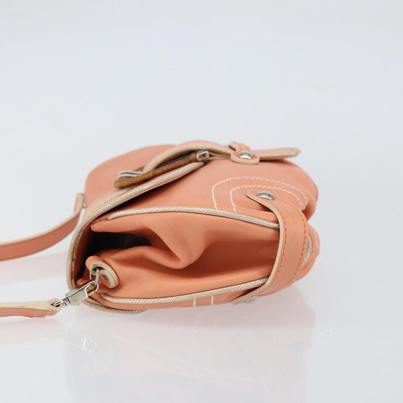 Salvatore Ferragamo Shoulder Bag Leather Pink Silver Auth 156320