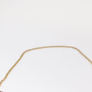 Christian Dior Trotter Canvas Chain Shoulder Bag Red Gold Auth 156497-9