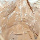 GUCCI GG Canvas Shoulder Bag Beige Gold Auth 156907-19