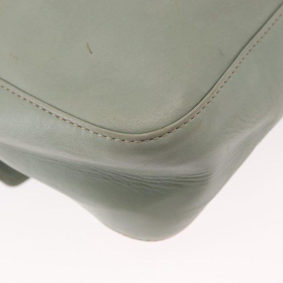 CELINE Circle Shoulder Bag Leather Gold Light green Auth 156943