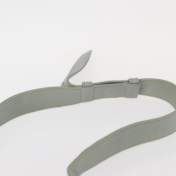CELINE Circle Shoulder Bag Leather Gold Light green Auth 156943