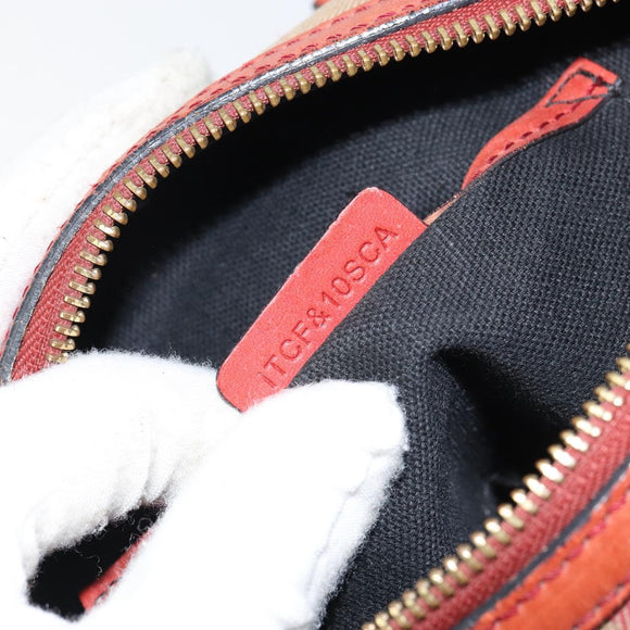 BURBERRY Nova Check Hand Bag Canvas Leather 2way Beige Gold Auth 157364