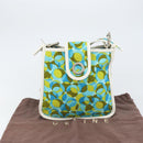 CELINE Circle Shoulder Bag Canvas Leather Blue Light green Auth 157872-25