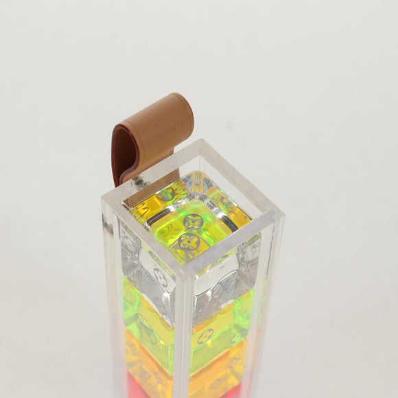 LOUIS VUITTON Etui Desteve plastic Clear GI0411 LV Auth 157969SM