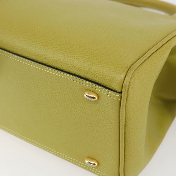 CELINE Hand Bag Leather Yellow Gold Auth 158409