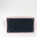 CHANEL Tote Bag Canvas Pink Silver CC Auth 158837-6