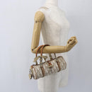 Christian Dior Trotter Canvas Romantic Hand Bag PVC Beige Silver Auth 158880V-24