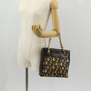 CELINE Blazon Chain Shoulder Bag Canvas Brown Gold Auth 158910V-23