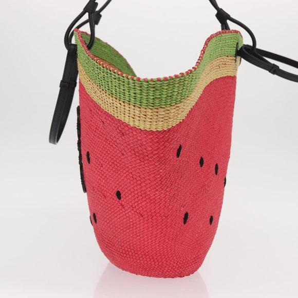 LOEWE Tote Bag Straw 2way Red Auth 158943SAV