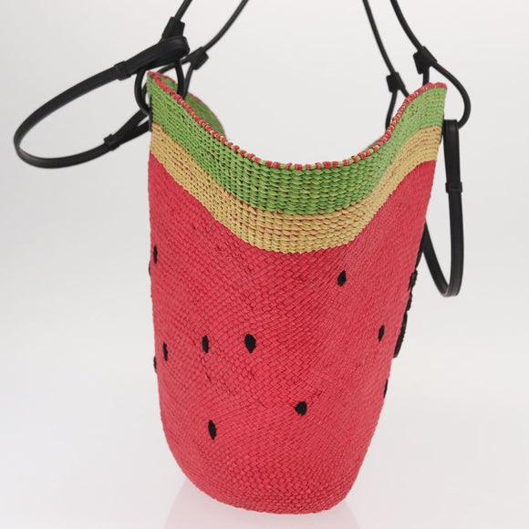 LOEWE Tote Bag Straw 2way Red Auth 158943SAV