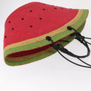 LOEWE Tote Bag Straw 2way Red Auth 158943SAV-6