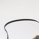 LOEWE Hand Bag Raffia 2way Light Blue Silver Auth 158951SAV-15