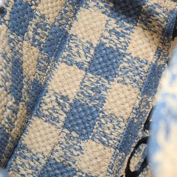 LOEWE Hand Bag Raffia 2way Light Blue Silver Auth 158951SAV