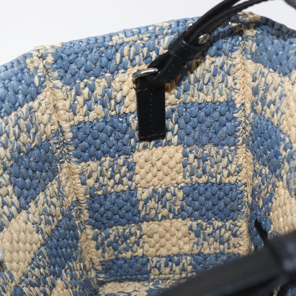 LOEWE Hand Bag Raffia 2way Light Blue Silver Auth 158951SAV