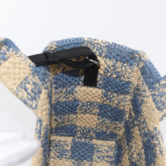 LOEWE Hand Bag Raffia 2way Light Blue Silver Auth 158951SAV