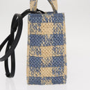 LOEWE Hand Bag Raffia 2way Light Blue Silver Auth 158951SAV-3