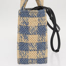 LOEWE Hand Bag Raffia 2way Light Blue Silver Auth 158951SAV-4