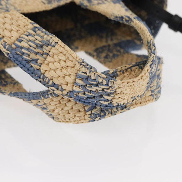 LOEWE Hand Bag Raffia 2way Light Blue Silver Auth 158951SAV